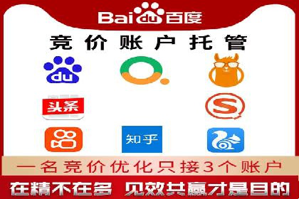 谷歌竞价广告的投放策略与成功案例分析